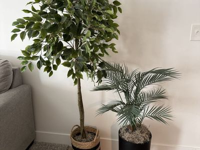 Set of 2 Artificial Faux Plants in Decorative Pots