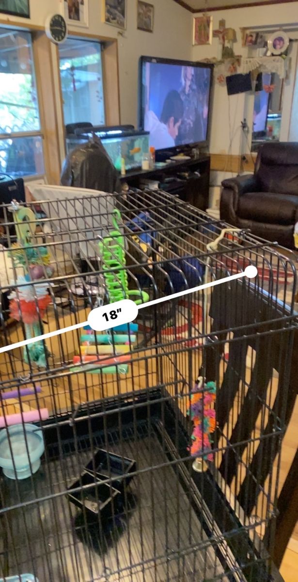 Birds Cage  Big  Toys Incluyen In Ogden