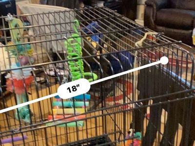 Birds Cage Big Toys Incluyen In Ogden