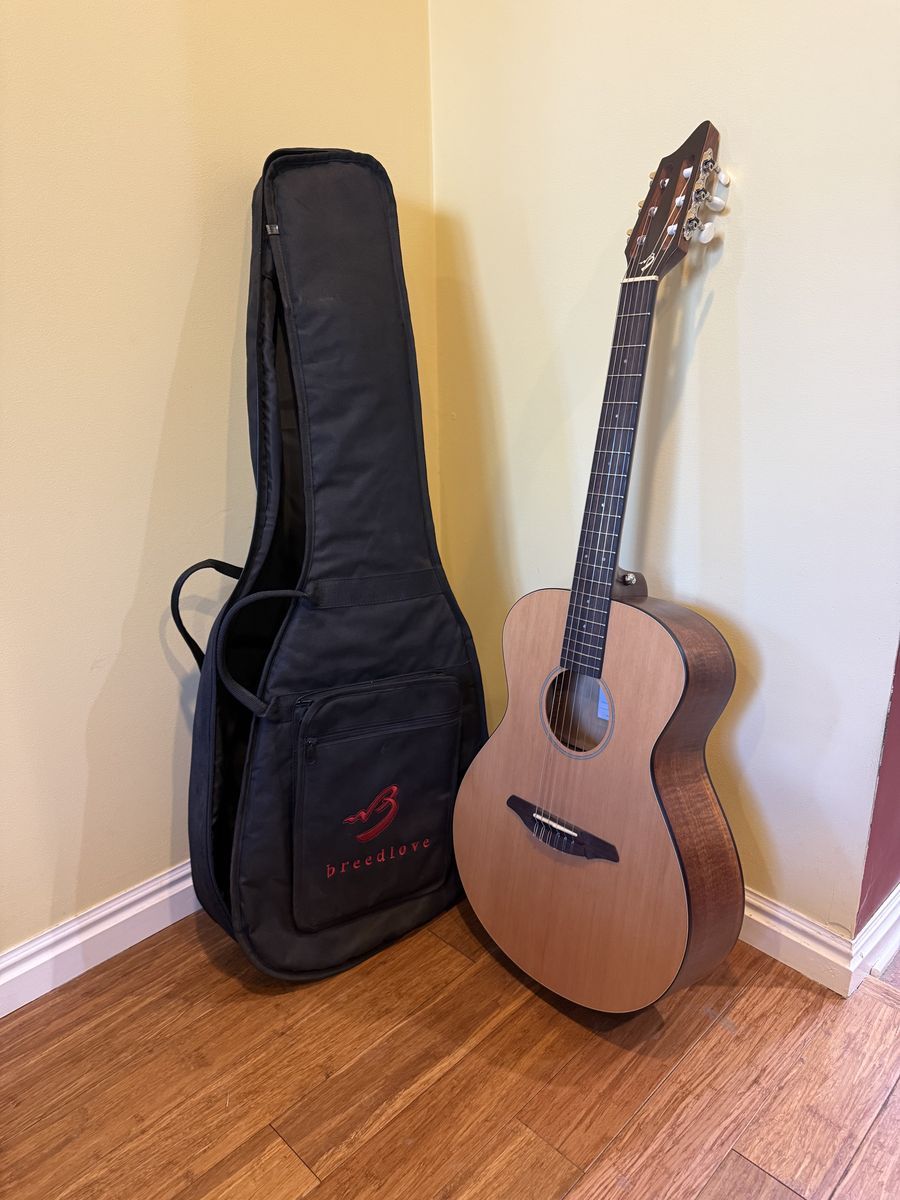 Breedlove N200/CMP classical guitar