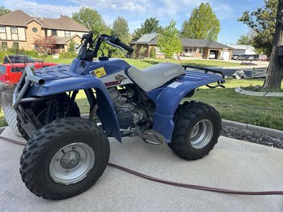 Yamaha Timberwolf