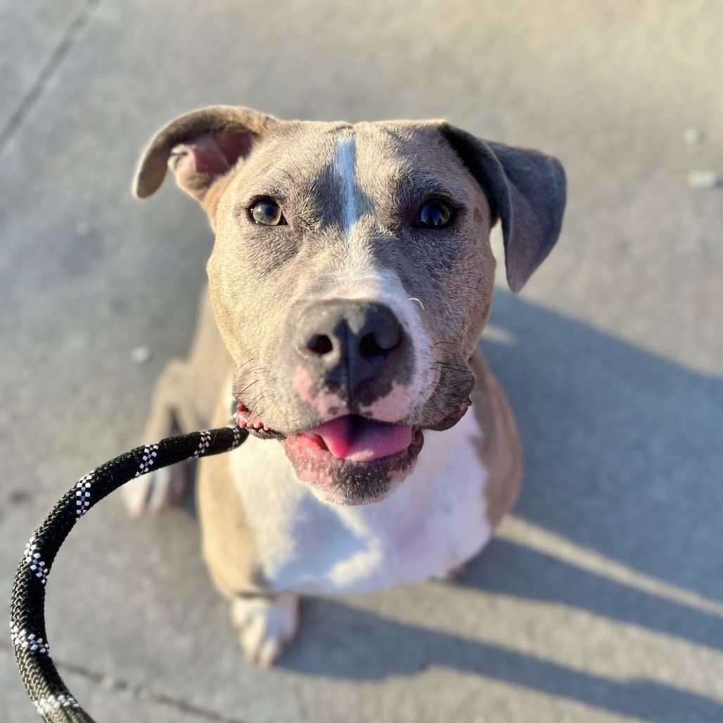 Hello my name is Tucker