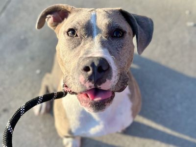 Hello my name is Tucker