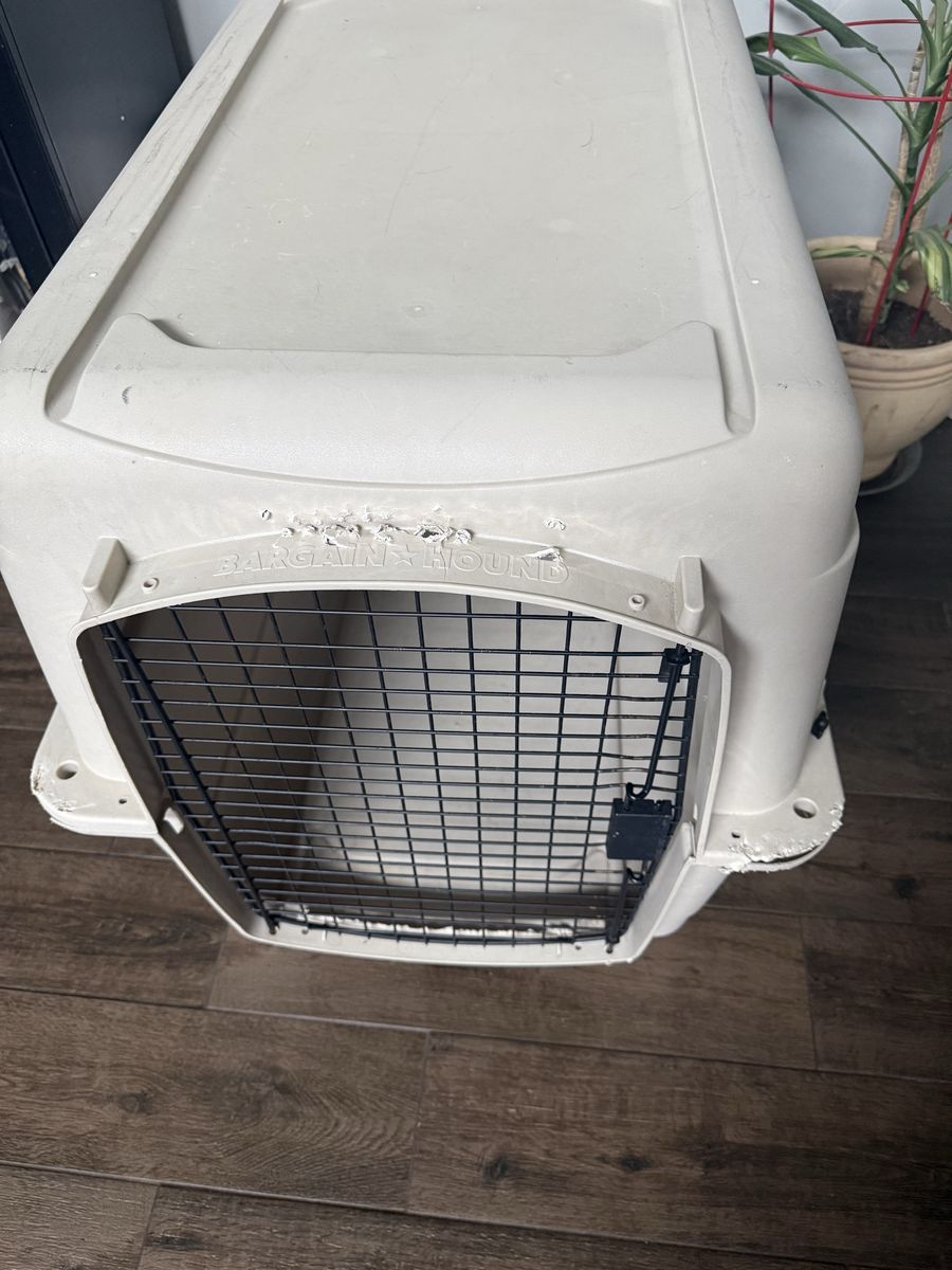 Large Bargain Hound Dog Crate