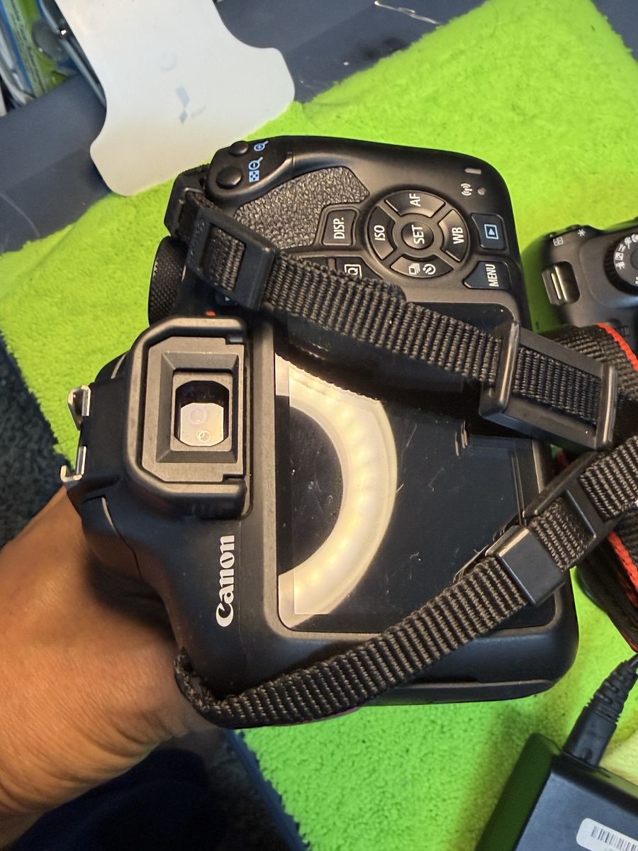 Canon 250D body