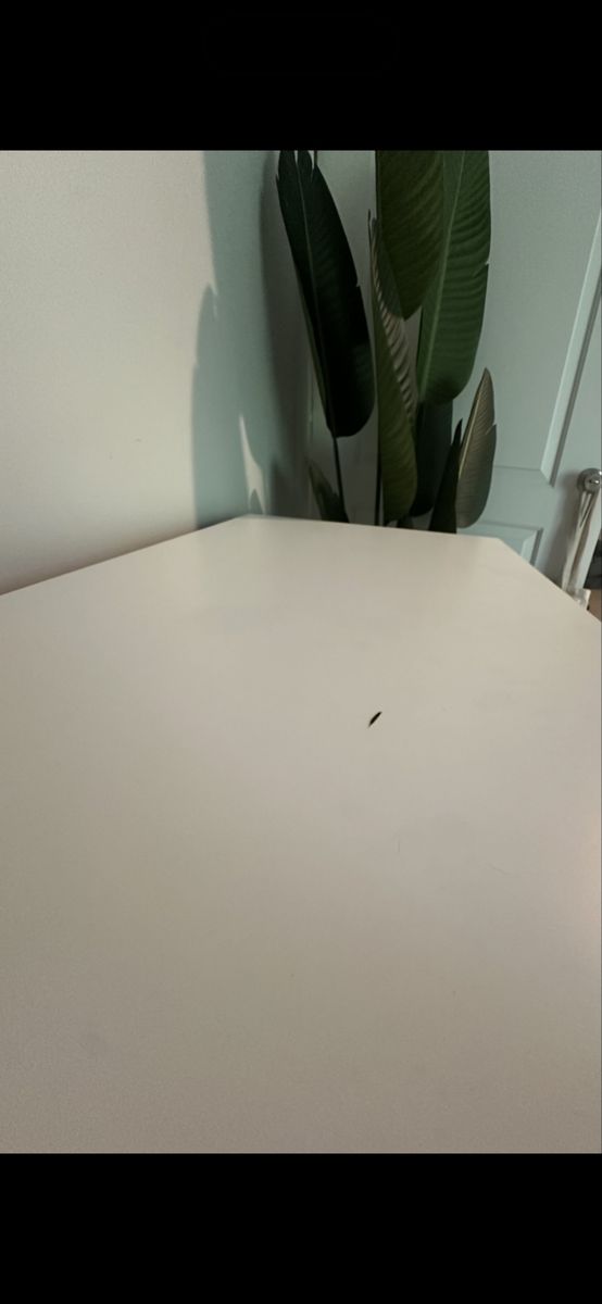 Main image 4