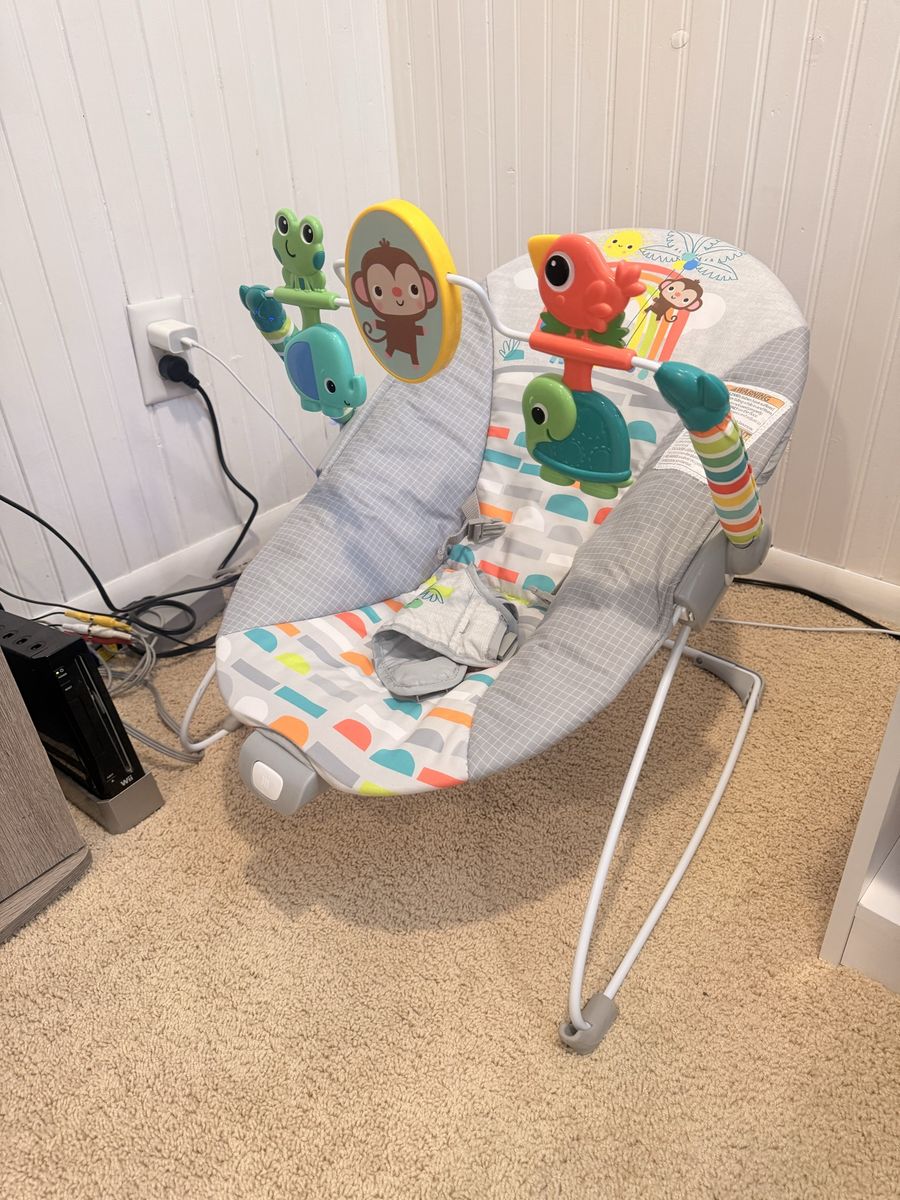 Baby Bouncer
