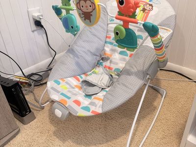Baby Bouncer