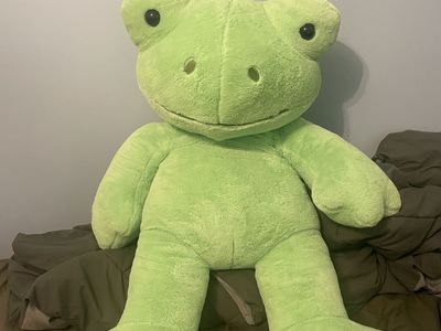 Build a bear frog