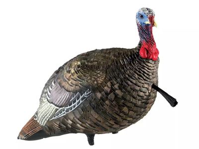 Avian X Turkey Decoys LCD Jake and Feeder Hen