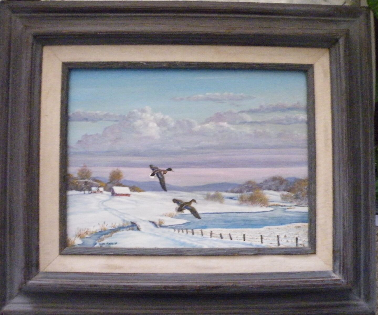 Ducks in early morning flight