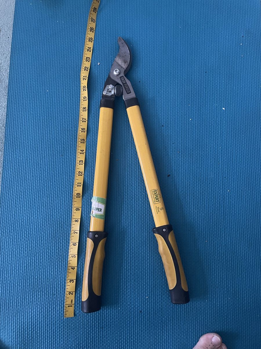 Expert Gardener 24 inch Steel Blade Bypass Lopper/ Hedge Clipper/ Pruner