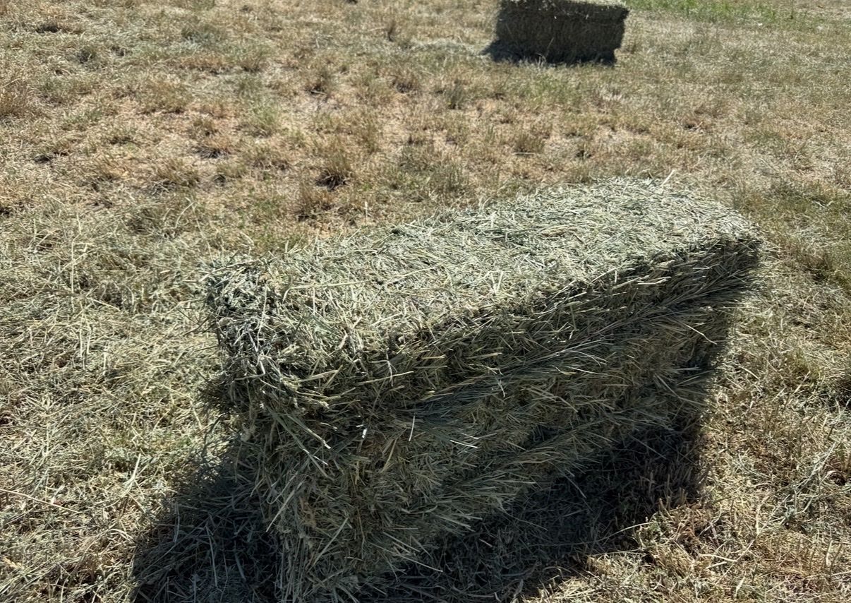 Main image 4