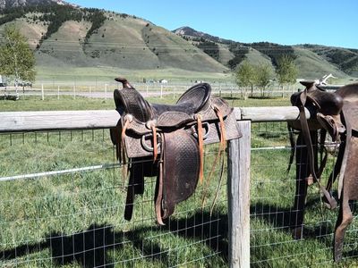 saddle