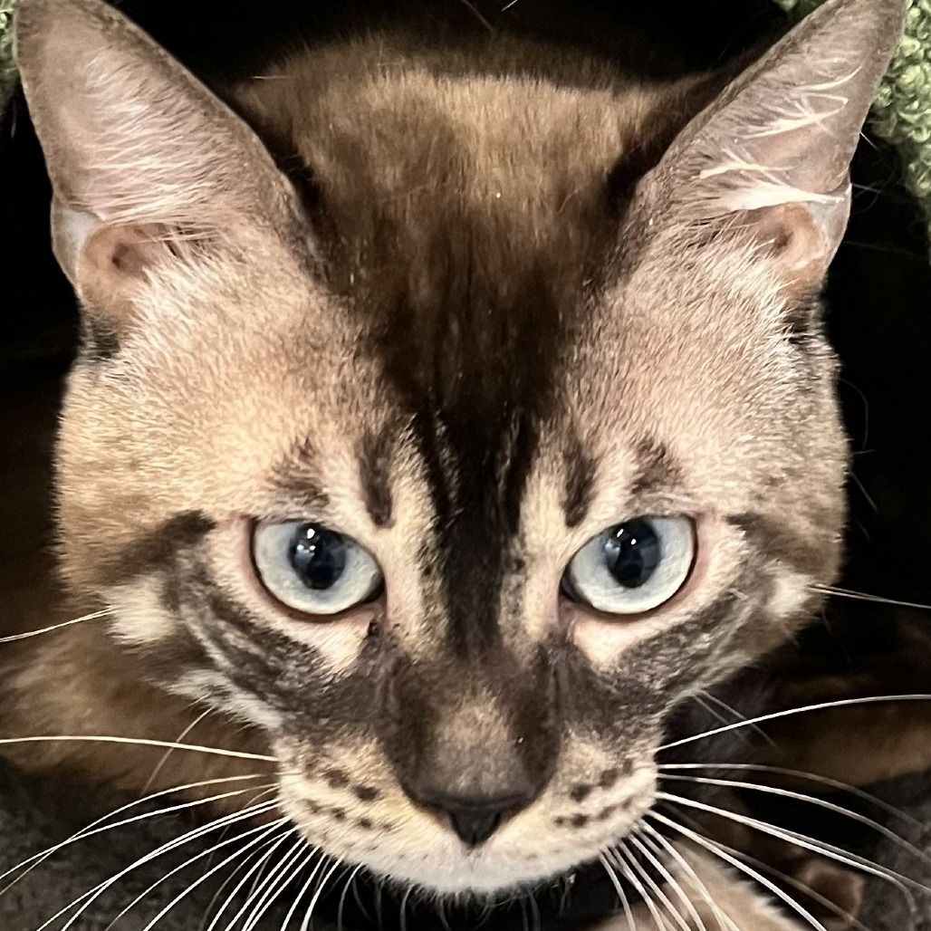 Hello my name is Tom