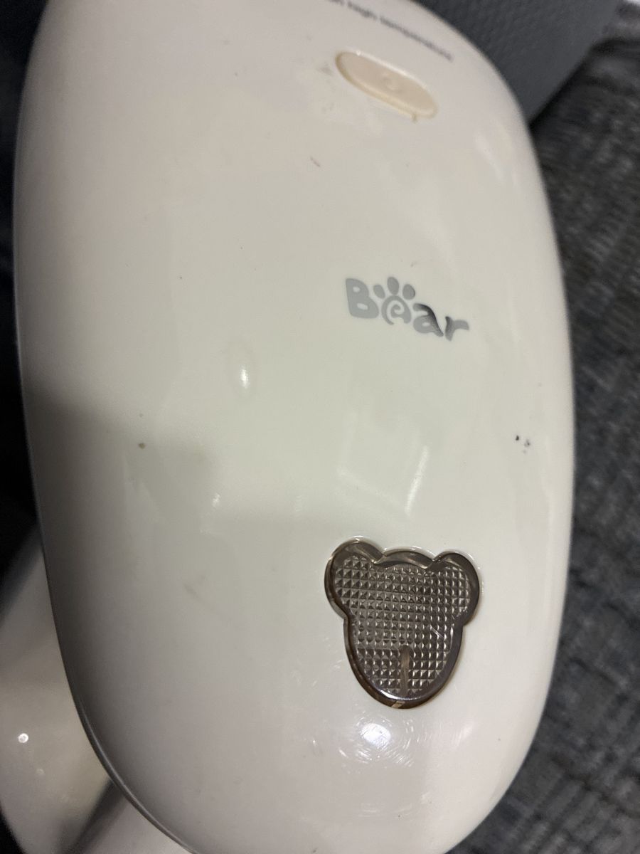 Bear Clothing Steamer