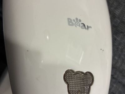Bear Clothing Steamer