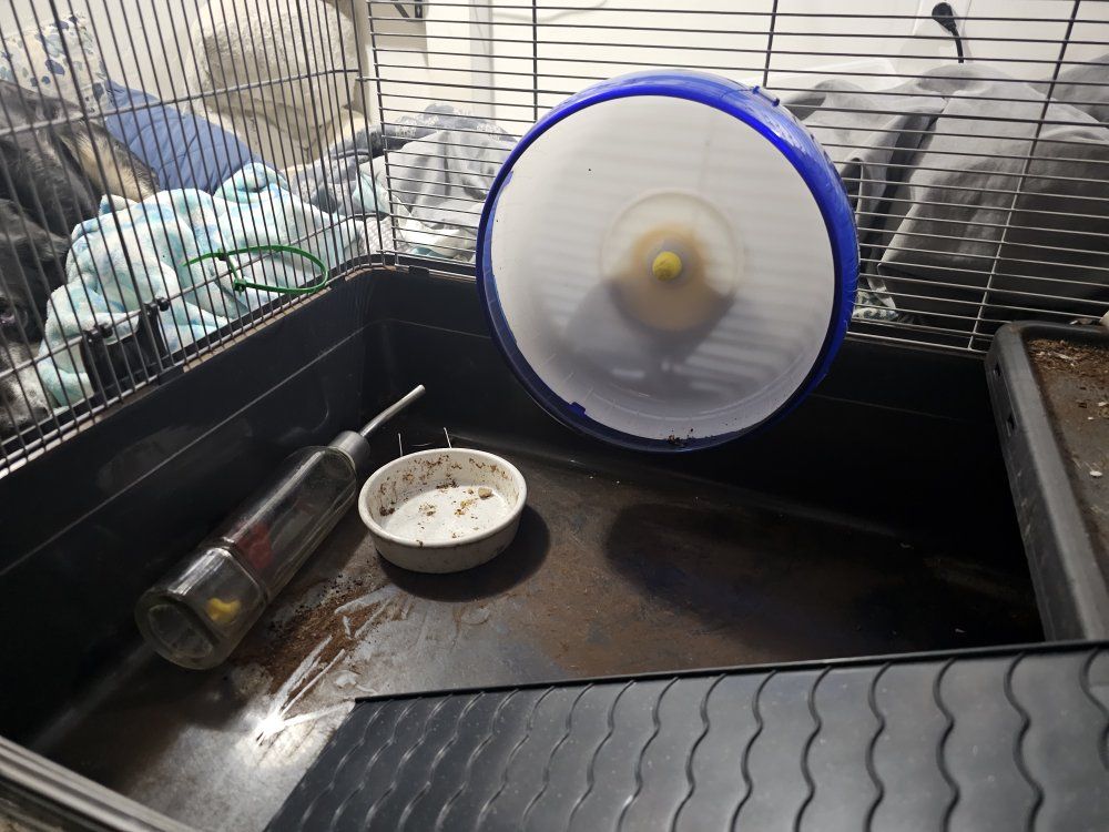 Main image 4