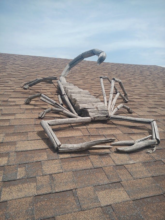 Yard Art ( Rooftop Art ) Driftwood Scorpion by the artist Tim Little