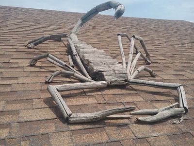 Yard Art ( Rooftop Art ) Driftwood Scorpion by the artist Tim Little