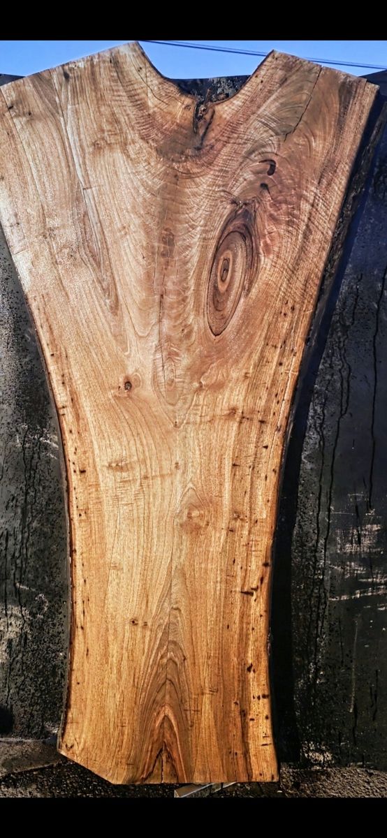 Fleshly cut English Walnut live edge crotch wood slab