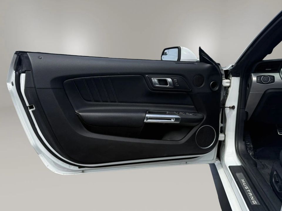 Main image 13