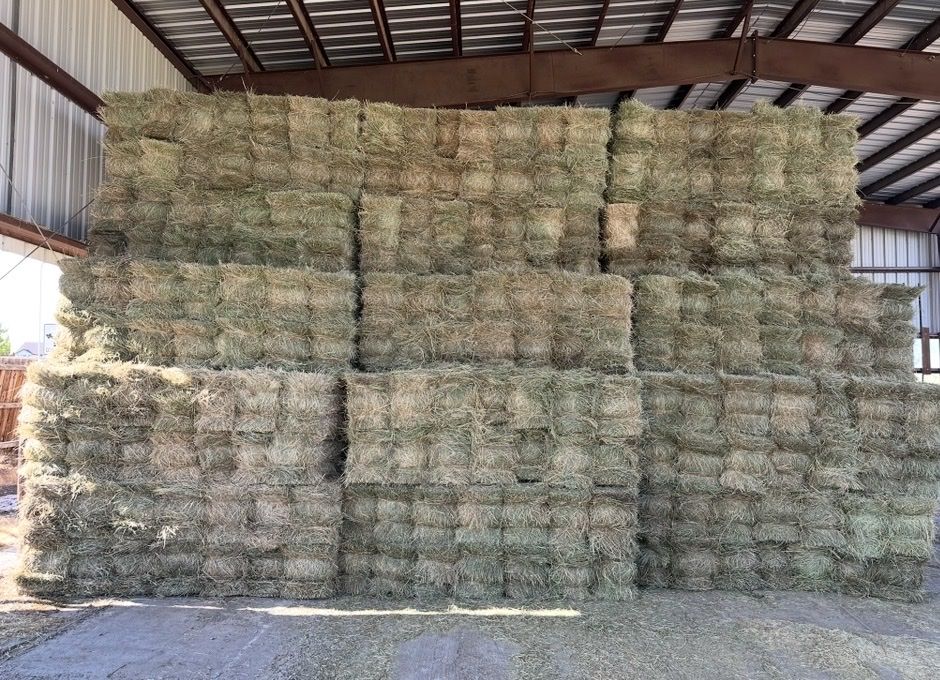 Grass Hay