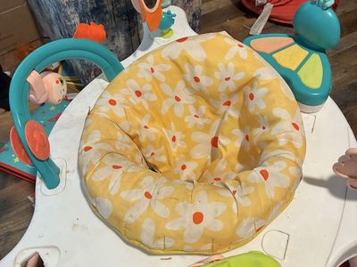Baby bouncer