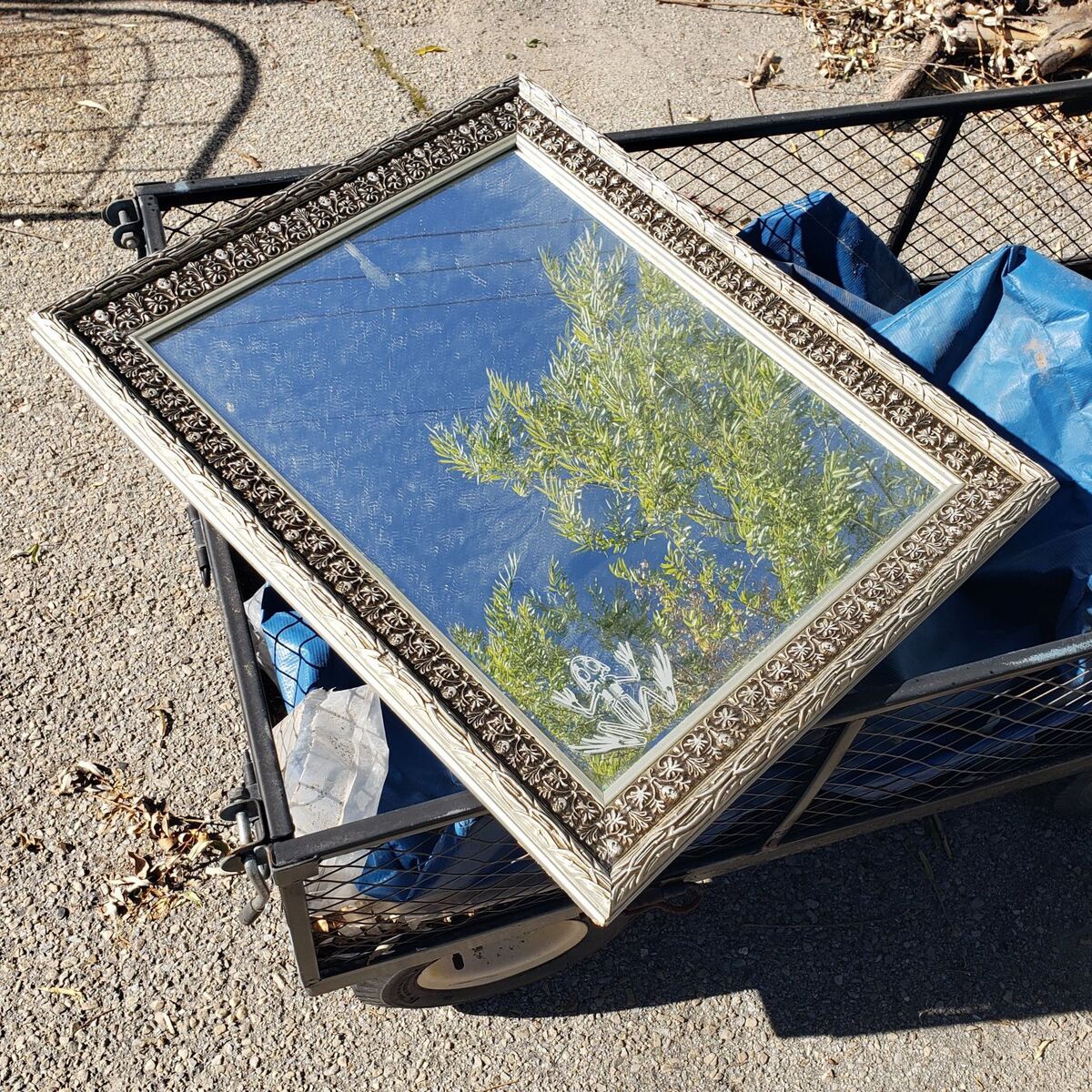 Mirror 20 x 23-3/4 with frog decal