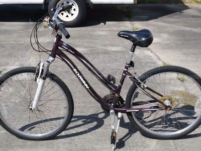 Bikes! Schwinn bicycles