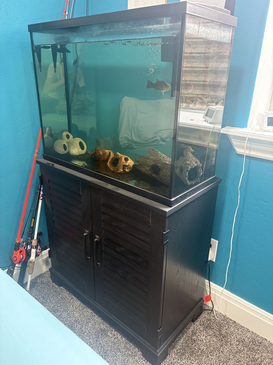 37 Gallon Fish Tank And Stand