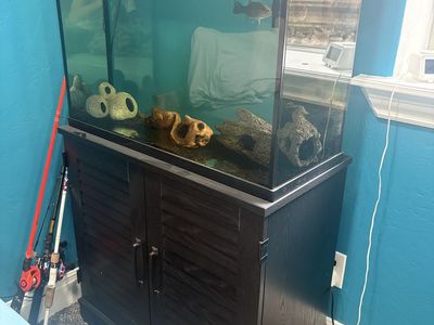 37 Gallon Fish Tank And Stand