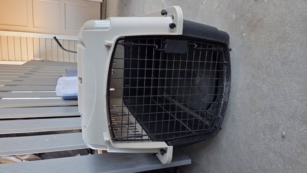 medium-large pet carrier