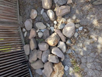 free rocks