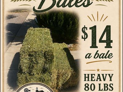 Chester Feed Heavy 80 lbs Alfalfa Bales - $14 a Bale