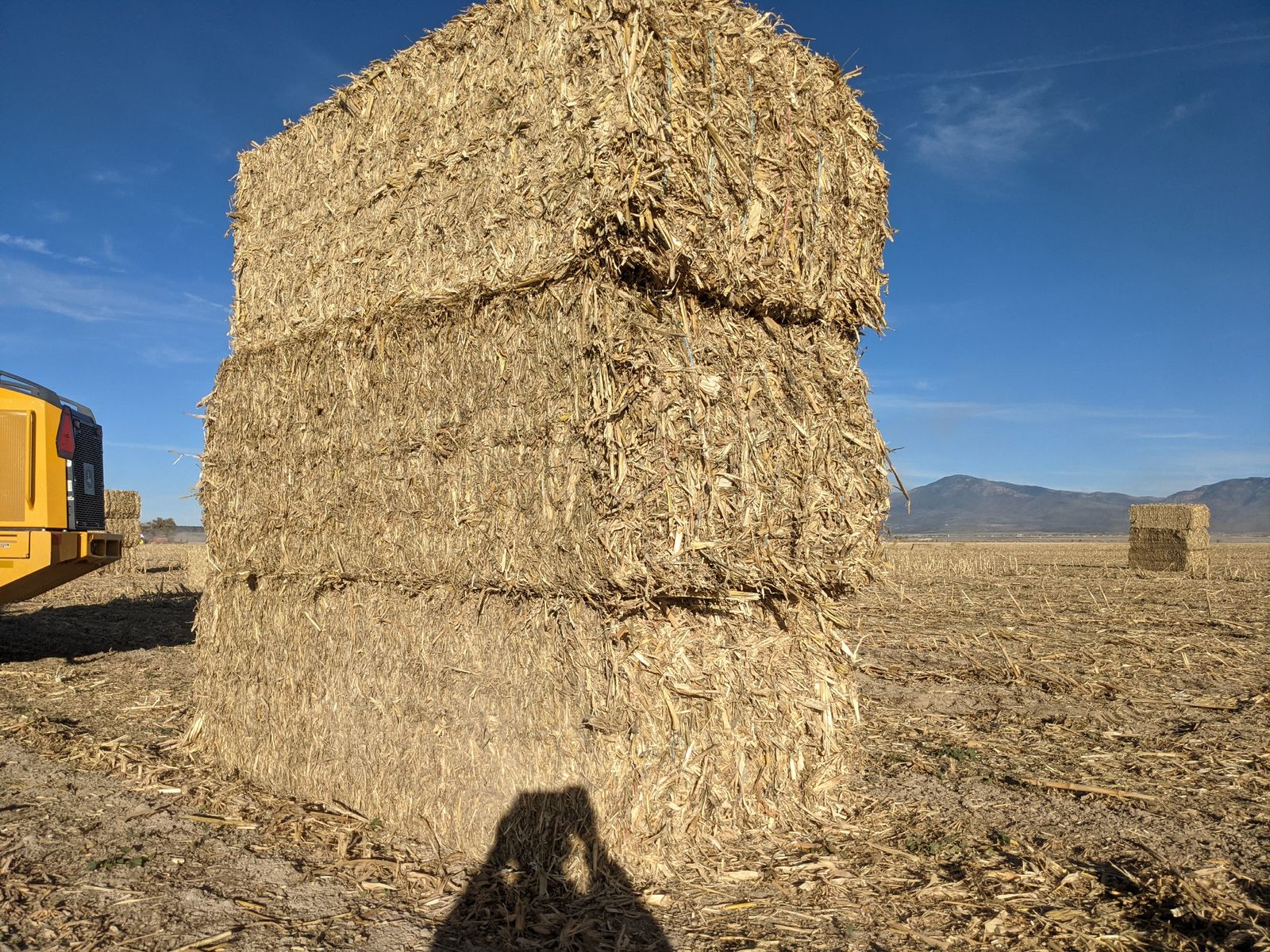 Corn Stalk Bales