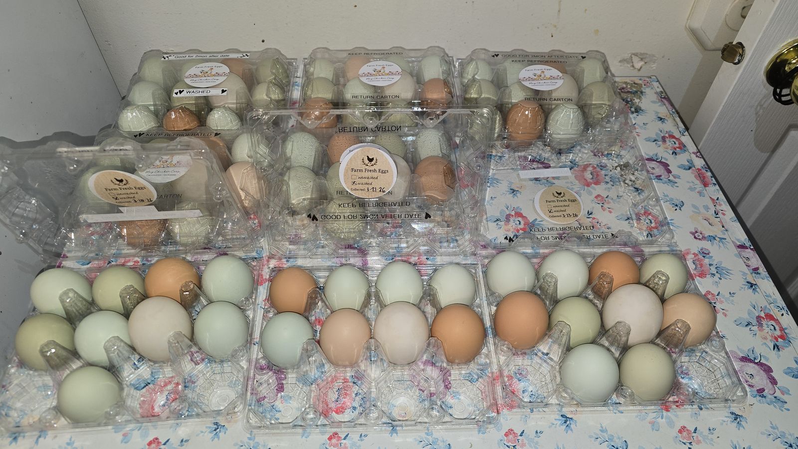 Farm fresh Coop Layers / Spoiled Girls