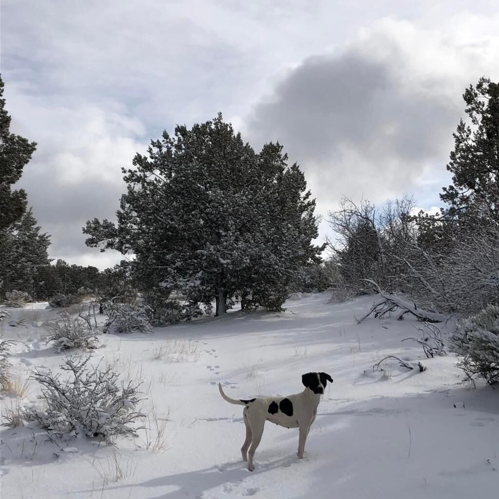 Hello my name is Boston