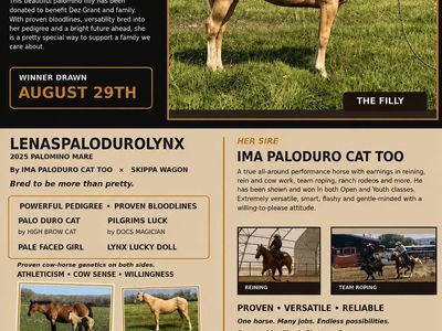 Palomino Filly Benefit Raffle Tickets- Lenaspalodurolynx