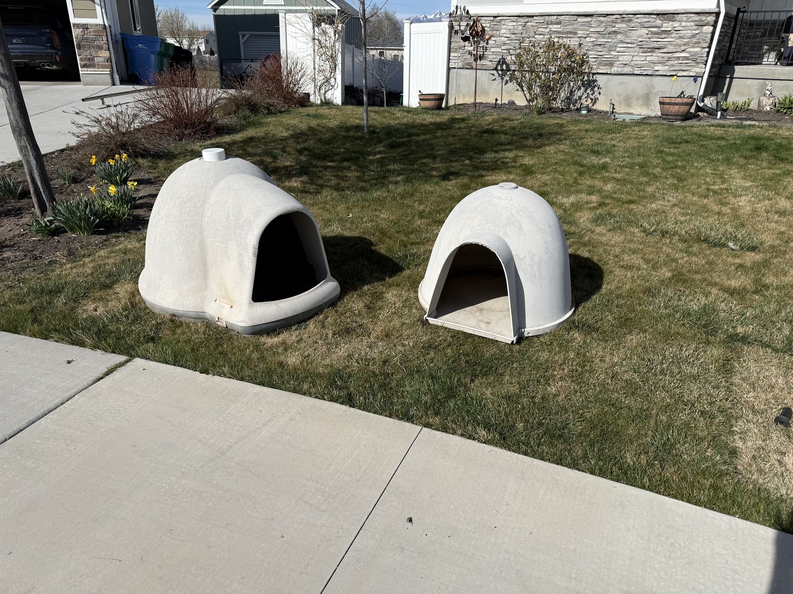 Dog House Igloo