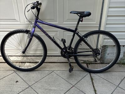 Old school Nishiki Mtn bike.