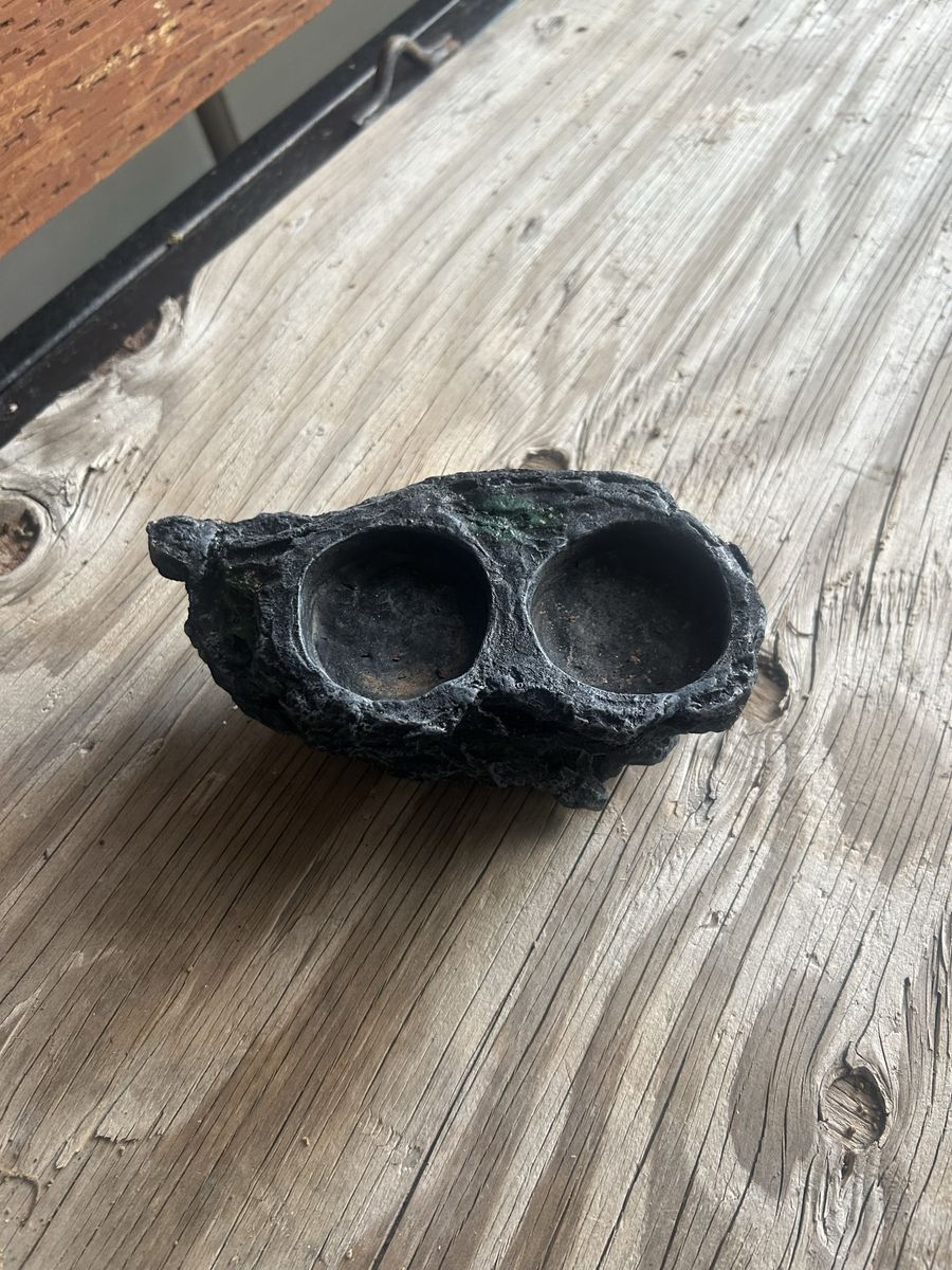 Reptile ledge