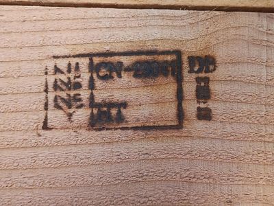 Rough Cut Cedar Lumber - 2x4 Inch - Multiple Lengths Available - Construction/Craft Wood