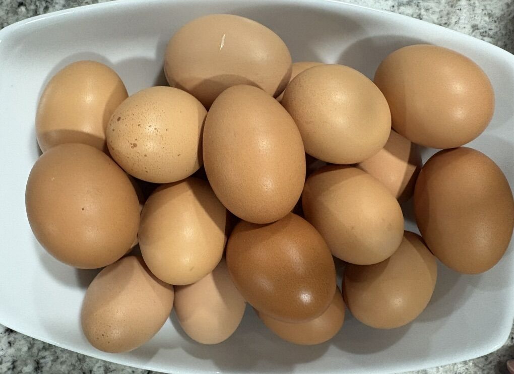 Farm Fresh Eggs