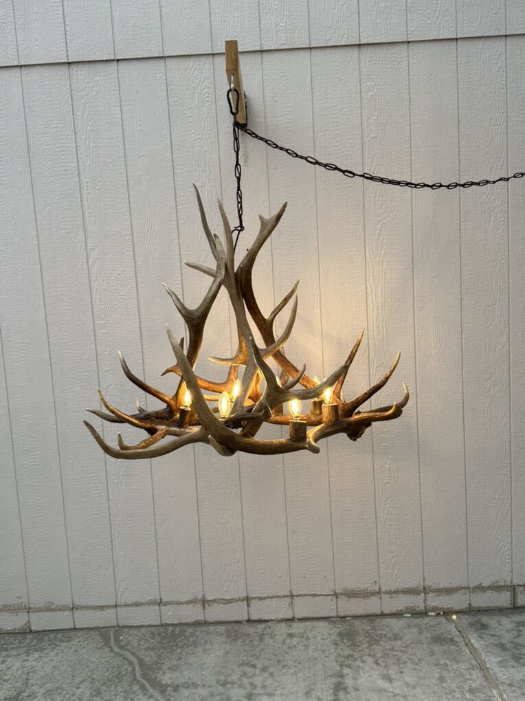 Elk Chandelier