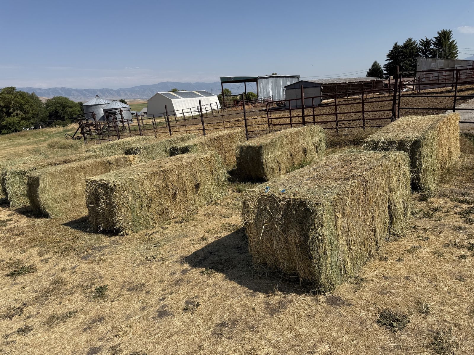 Feeder hay 3x3x8