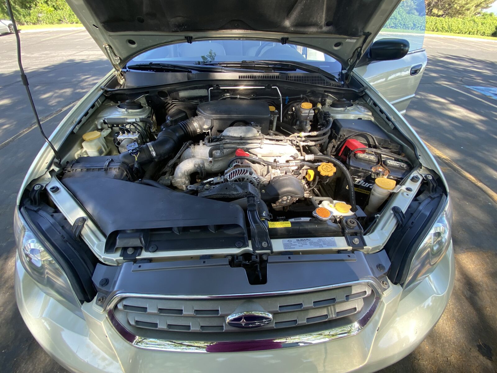 Main image 9