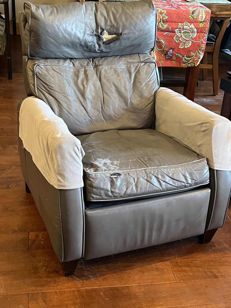 Power Leather Recliner