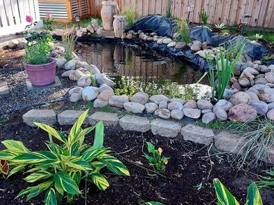 Build A Pond Without Spending A Fortune - Liners