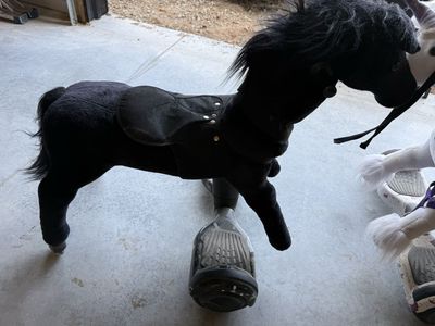 Power pony rideable hover board pony